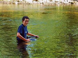 Jack goes swimming in the Dart at Hembury Woods