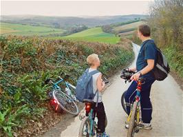 Buckfastleigh from near Pennywell Farm