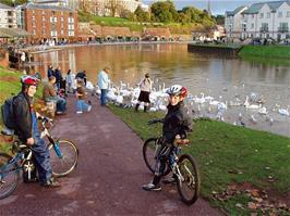 Zac and Alex with the swans and pigeons