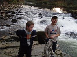 Beside the River Dart in Holne Woods