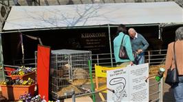 Kidsrome, a mini-farm "Edu-tainment" at Clarks Village, Street