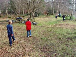Frisbee game at Stover Country Park