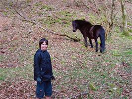 Zac finds a friendly horse in the woods near the Fisherman's Path - new photo for 2025