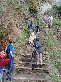 Ridiculous Steps on the Fisherman's path