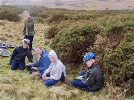 Sheltering behind a gorse bush