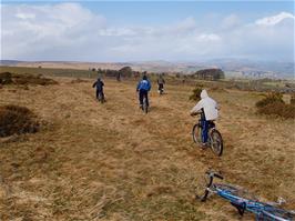 The freedom of the open moor