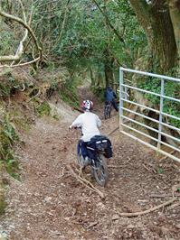Alex and Zac enter the woodland track to Lower Combe