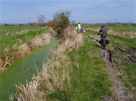 Exploring the tracks around Earlake Moor near Burrow Mump