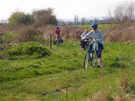 Exploring the tracks around Earlake Moor near Burrow Mump