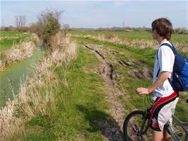 Exploring the tracks around Earlake Moor near Burrow Mump