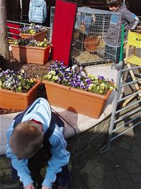 Alex and Zac check out the animals on display at Clarks Village, Street