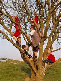 The youngsters wait for Michael in a tree at Deerleap View Point near Priddy, 15.0 miles into the ride