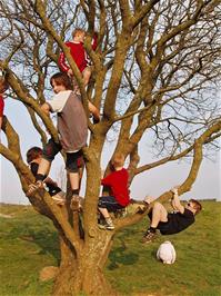 The youngsters wait for Michael in a tree at Deerleap View Point near Priddy