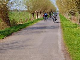 Typical Levels scenery on Tealham Moor Drove near Westham