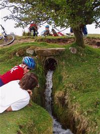 The youngsters explore the Holne Moor Leat's course under the road near Combestone Tor