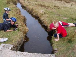 The Holne Moor Leat