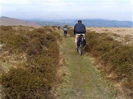 The start of the bridleway near Combestone Tor