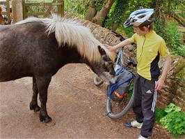 A friendly horse detects food in Michael's pannier