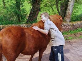 Jordan wants to take this horse home