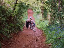 The final climb on the Sharpham track