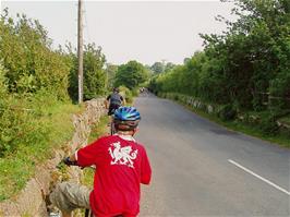 Cattle in the road on the approach to Leusdon - new photo for 2025