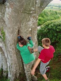Really, Tom?  I think you'll have to find another way to get up into the tree!  New photo for 2025