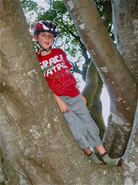 Tom finally makes it into the tree
