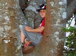 Tom settles down to enjoy his tree - new photo for 2025