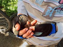 The lads find a shrew on the Camel Trail on the way back to Bodmin - new photo for 2025