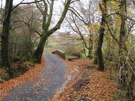 A delightful autumn scene at Gidley Bridge