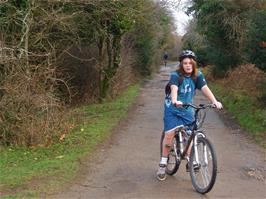 The upper reaches of the Plym Valley path, now resembling a country lane - new photo for 2025