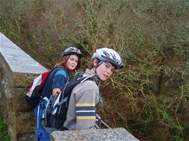 Freddie has joined us on the way back, here pictured again on the Plym Valley Viaduct - new photo for 2025