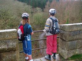 Andrew & Freddie on the Plym Valley Viaduct