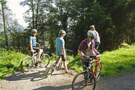 On the Red Track at Haldon Forest Park