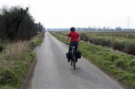 Lawrence on the Somerset Levels