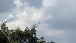 Lawrence feels sure this is the Farm Helicopter for Manor Farm, as seen from Manor Stables, Whitsbury, 14.7 miles into the ride