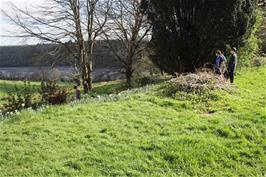 View to the River Fowey from Golant Youth Hostel