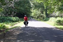 The road from Millyford Bridge to Bolderwood