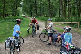 Heading offroad from the Rhinefield Ornamental Drive at Brock Hill, 4.8 miles into the ride