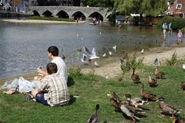 Lunch in Fordingbridge park