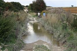 The flooded track across New Court Down towards Odstock