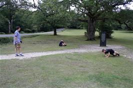 The Ruus Stone in the heart of the New Forest