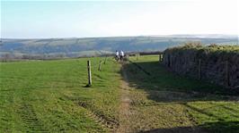 Starting the rough bridleway "short-cut" to Exford