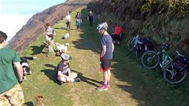 A fistful of dogs passes us on the coast path