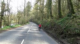 Following the River Yeo towards Barnstaple