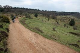 A wrong turning on the unmarked Quantocks tracks has taken us slightly off course at Middle Hill
