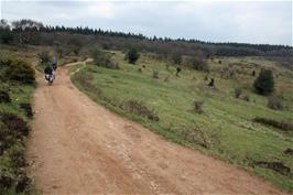 A wrong turning on the unmarked Quantocks tracks has taken us slightly off course at Middle Hill