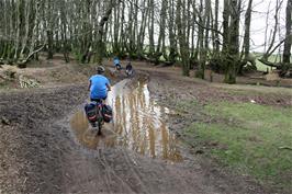 Watery challenges on the Quantock ridge track near Great Hill