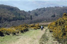 The bridleway to Selworthy