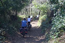 The track from Selworthy to Allerford